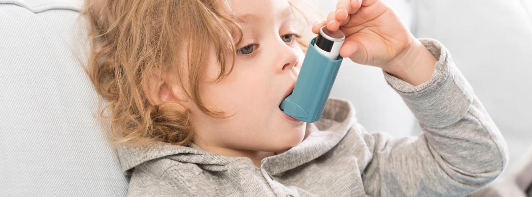 Allergie Asthma Auslöser