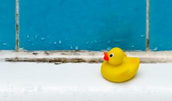 Risko Schimmel bei Asthma