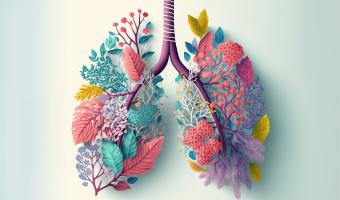 Lunge Airways Remodelling