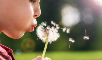 Lungenfunktion Ergebnisse erklären