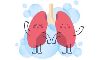 lungen-illustration