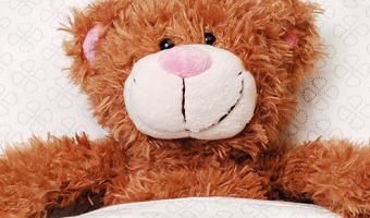 Teddybaer im Bett
