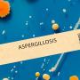 Pilzinfektion Aspergillose