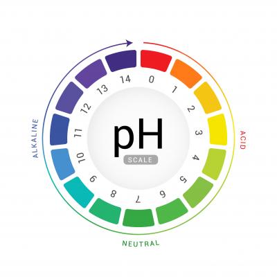 ph-Wert Sauer-Neutral-Basisch